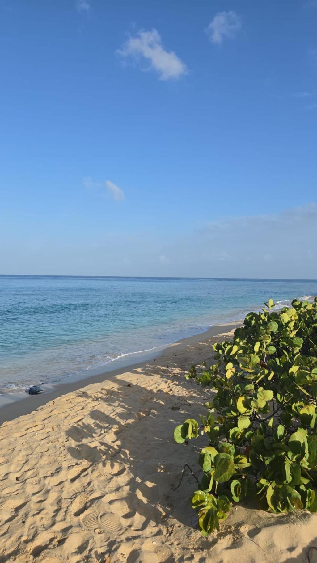 Apartment Seashades 2br 1 Full And 1 Half Bathrooms With Pool Close To Sleeps 4